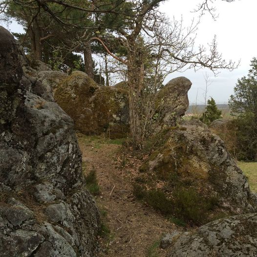 Rundtur på Solumåsen