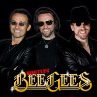 The Bootleg BeeGees