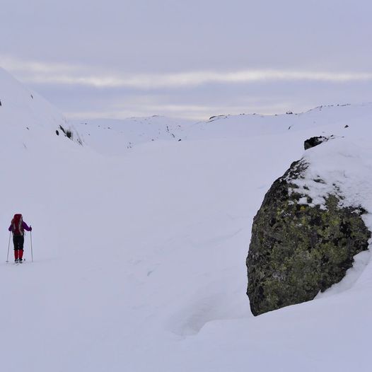 Tomannsbu til Støle på ski