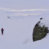 Tomannsbu til Støle på ski