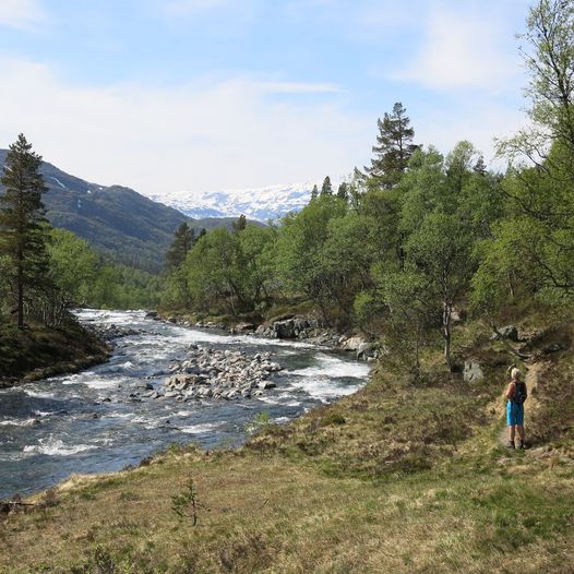 Jonstølen - Krossvatn