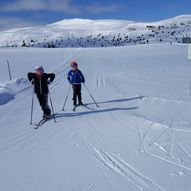 Frøysokstølan, Nystølflæi rundt     