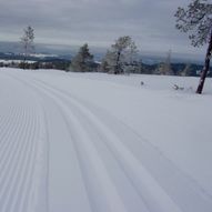 Volhaugen. Skiløypa over Marsteinsvola