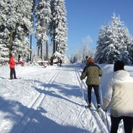 Skitur i åpent landskap fra Ringvål til Byåsen