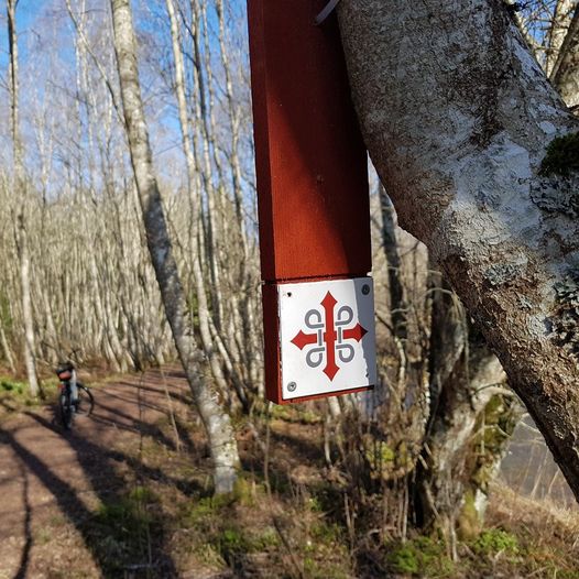 Elvelangs fra Munkrøstad til Levanger