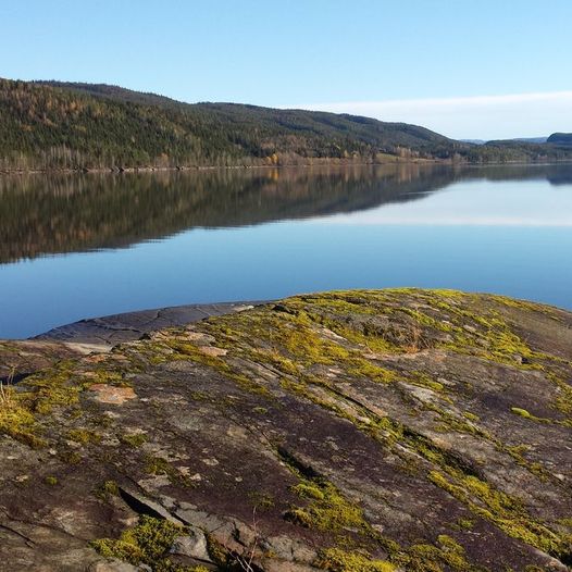 Kjesbuvatnet - Sendesbrannen - Seterengsmyra