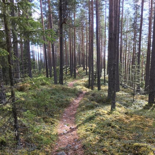 Rundtur på Øståsen