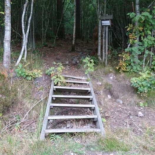 Hesnes rundt - Drottningborg, Veråsheia, Vikkilen, Eskedal, Marivold