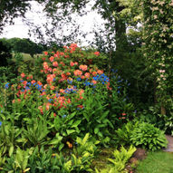 Charity Garden Opening - Thorntree