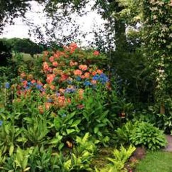 Charity Garden Opening - Thorntree