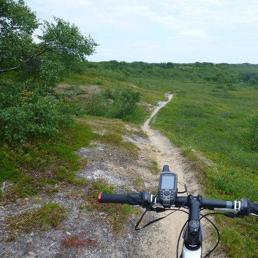 Sykkelløyper, Varanger sportsklubb