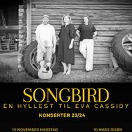 Songbird- en hyllest til Eva Cassidy 