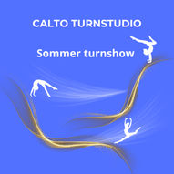 Sommer Turnshow