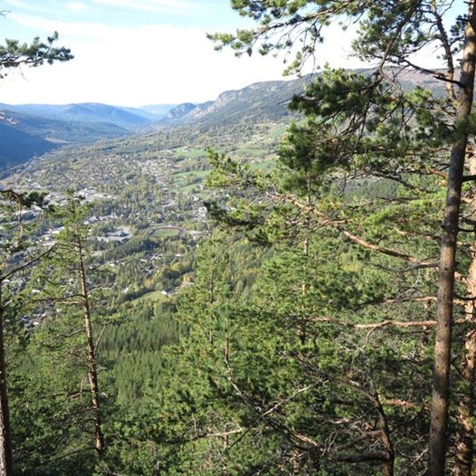 Rundtur over Lisbetnuten 