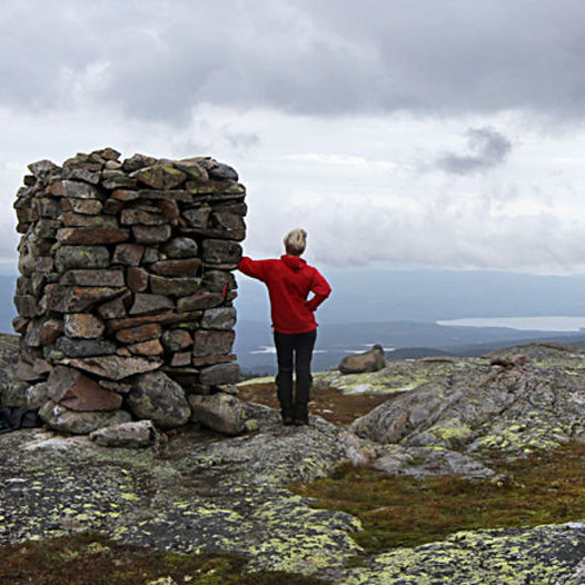 Venåsfjellet (1038 moh)