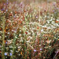 Earth Photo exhibition at Haldon Forest Park