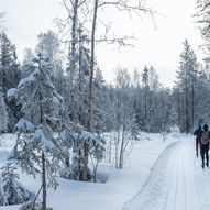 Østover fra Ringkollen til Stryken