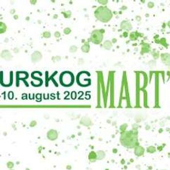 Bussbillett Fredag –Hemnes via Bjørkelangen