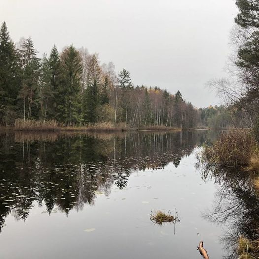 Skoklefallrunden