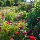 Charity Garden Opening - Willowhill