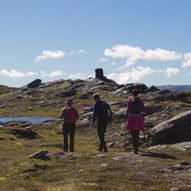 Røyrvikfjellet - Venevassegga