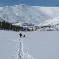 Sarvejællanjaevrie på ski