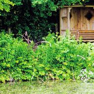 Charity Garden Opening - Bruckhills Croft