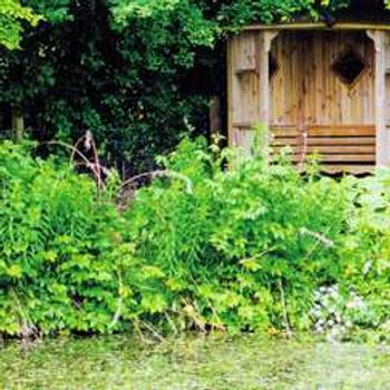 Charity Garden Opening - Bruckhills Croft