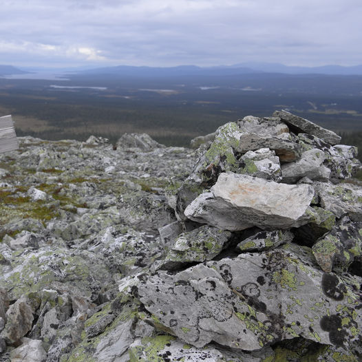 Røskdalsknappen. Tusen blank.