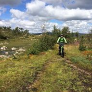 Sykkeltur Hovden-Tjørnbrotbu-Geiskeli