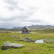 Torehytten til Hadlaskard