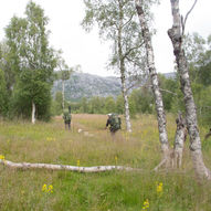 Nedre Breivatn-Lomsdalen