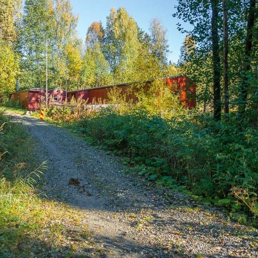 Skogstur til Hotvettjern og Rudskulen