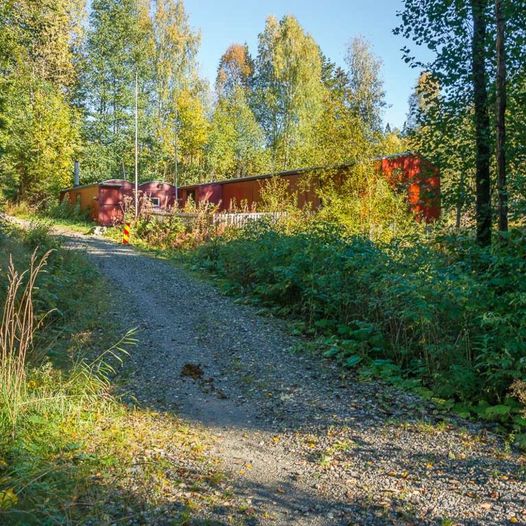 Skogstur til Hotvettjern og Rudskulen