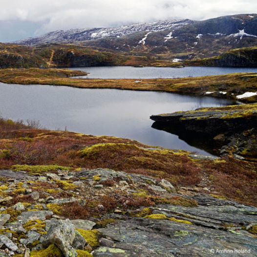 Fjelltur og fiskelykke i Reppavatnet