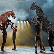 War Horse