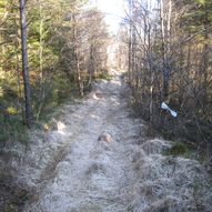 Såtemyrane frå Samfunnshuset Skogen Sletta