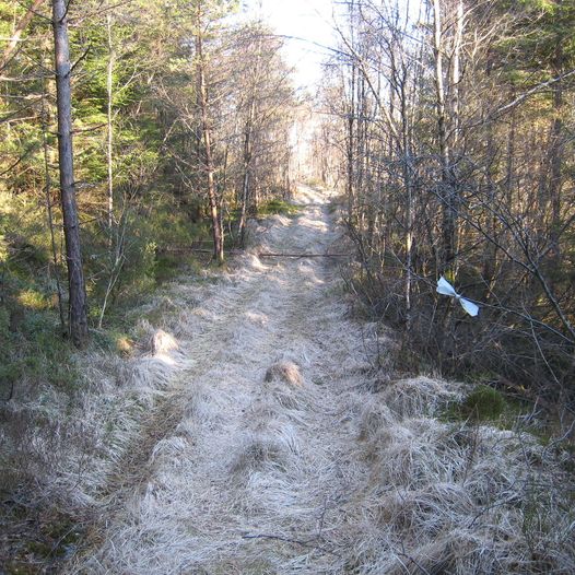 Såtemyrane frå Samfunnshuset Skogen Sletta