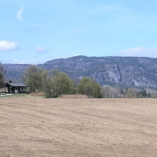 Numedalslågen 01