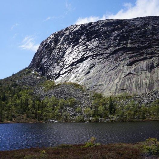 ROAN I FYRESDAL