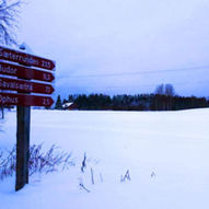 Runde på Jønsrud