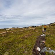 Hellnesodden på Laukøya