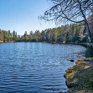 Tandbergfjellet til Norddalsåsen og Damstokkmyra