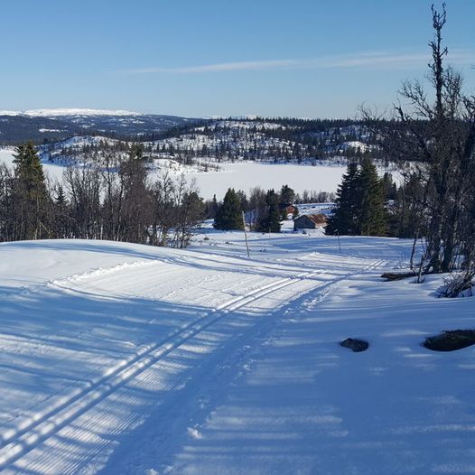 Skitur i storslått fjellterreng