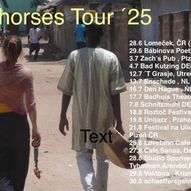 The Gifthorses - Katuš Young and Yankuba Conteh