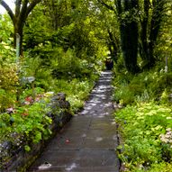 Charity Garden Opening - Barrmill Community Garden