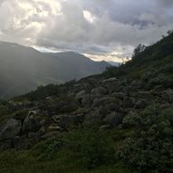 Orkja frå Dvergsdalsdalen