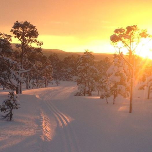 Sveberg - Jervskogen på ski