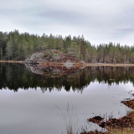 Svartåsrunden