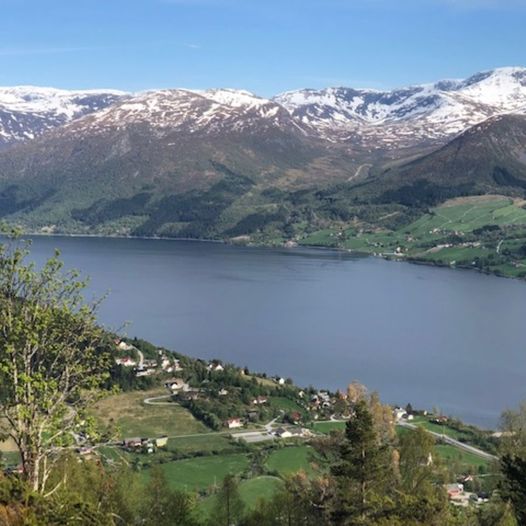 Ålhusstøylen og Grøneneven